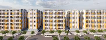 Evergreen Tràng Duệ